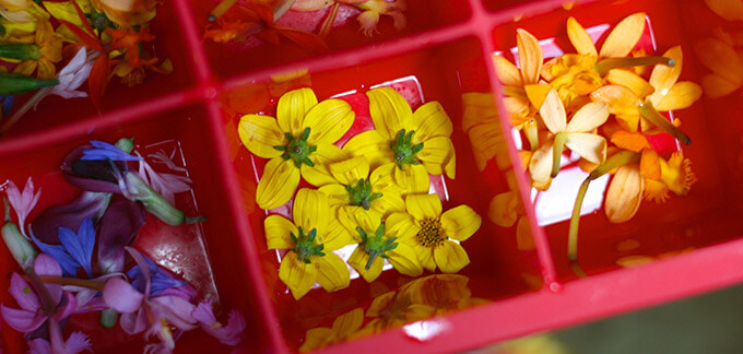 2014-05-19-flower-ice-cubes-step2-680x324