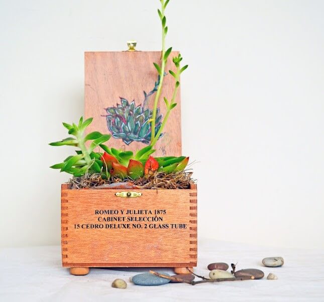 dharmakarmaarts-cigar-box-planter-645x601